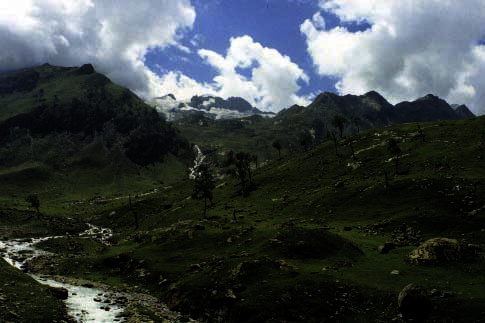 4-amarnath-2.jpg