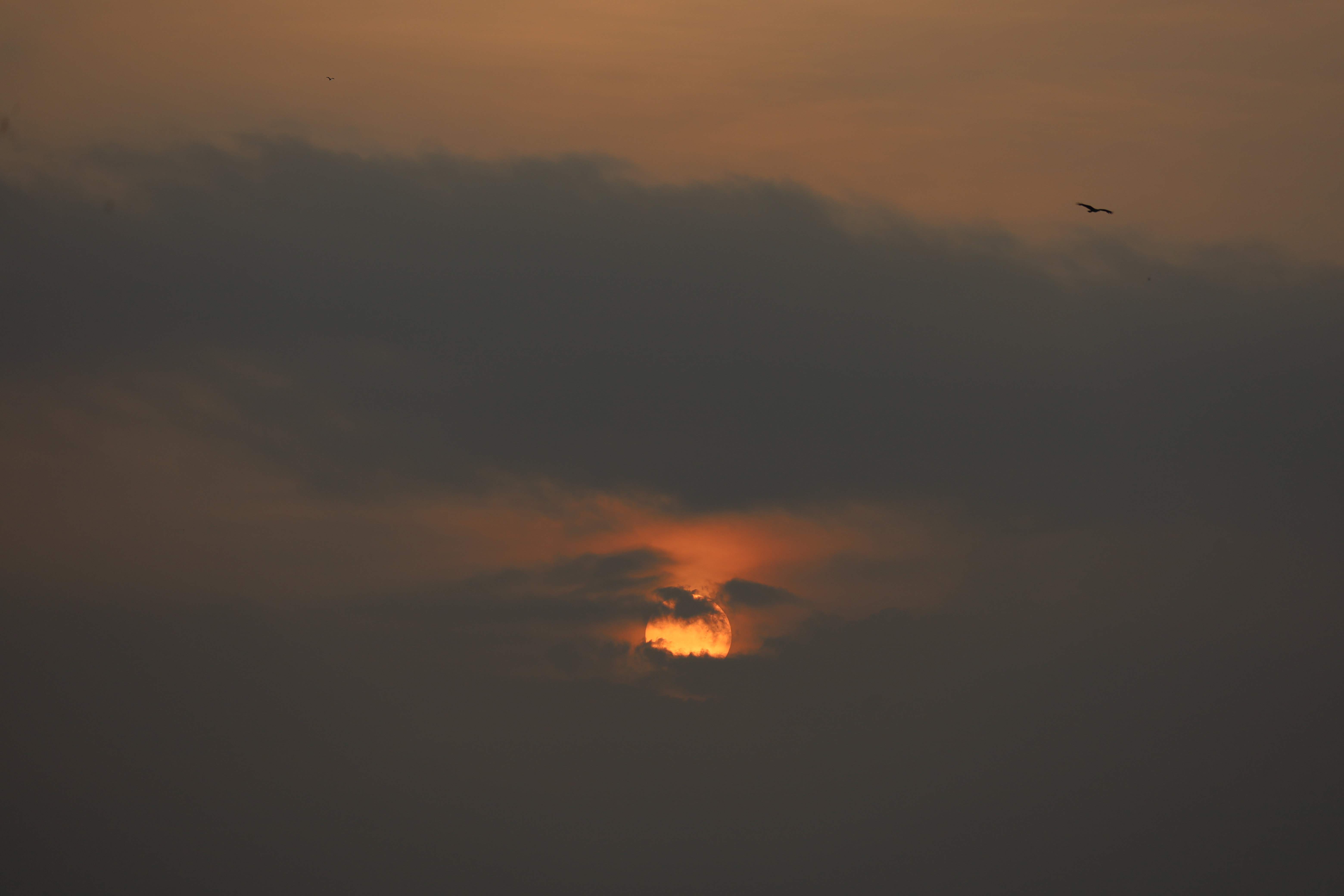 IMG_3045-2.jpg