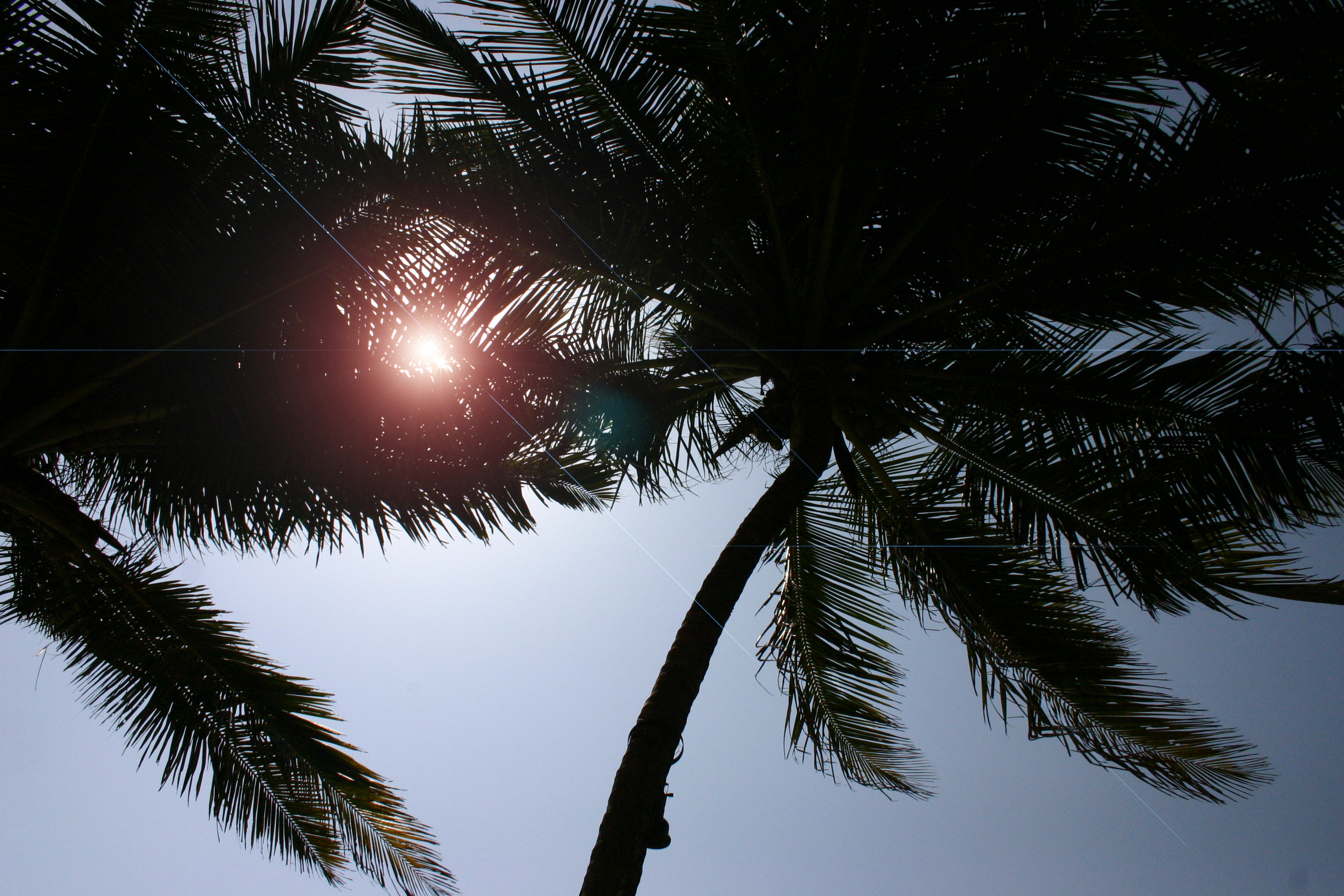 goa-0019-1.jpg