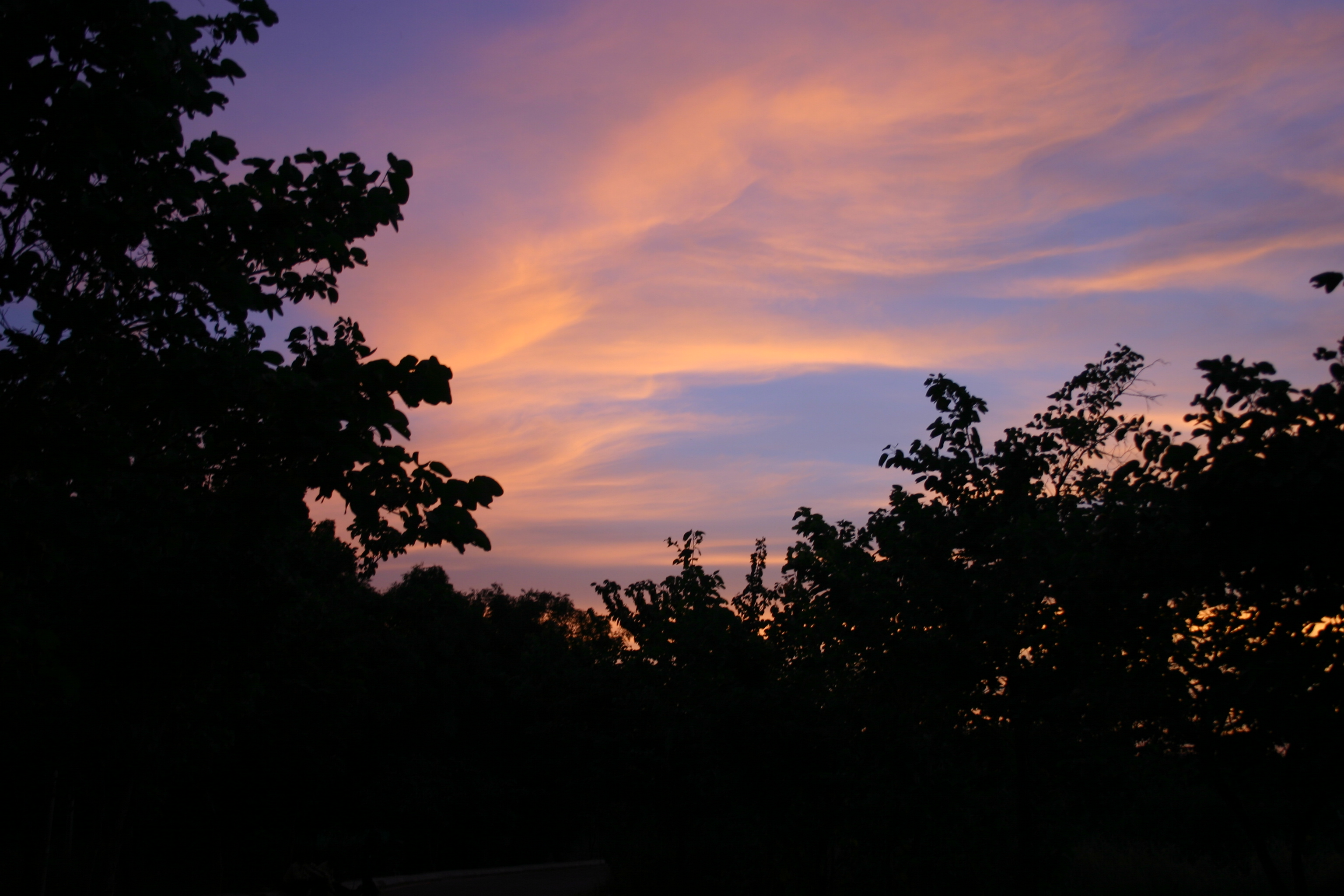 img_1086.jpg